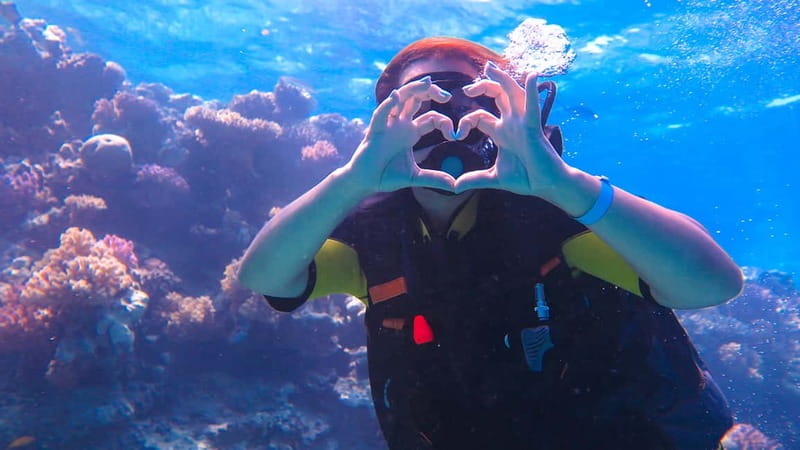 Alanya: Scuba Diving Tour with Lunch and Hotel Transfers - Lunch and surface breaks: how they keep the day enjoyable