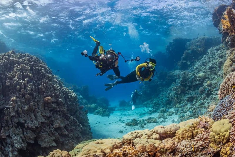 Alanya: Scuba Diving Tour with Lunch and Hotel Transfers - Hotel pickup to boat: why the start matters