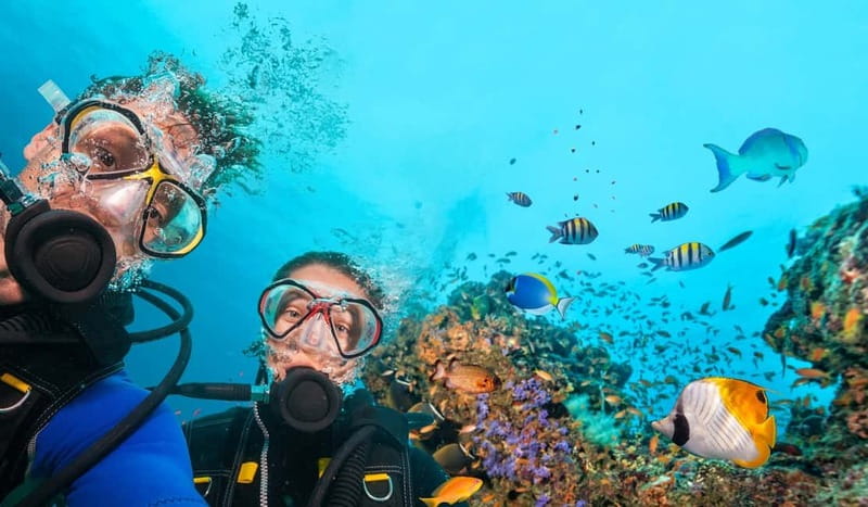Alanya: Scuba Diving Tour With Lunch - Two underwater sessions: what happens for beginners vs experienced participants