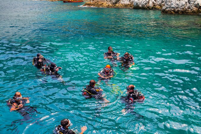 Alanya Scuba Diving with Hotel Transfer incl. Lunch - Sea Life Chances in Alanya: Fish, Octopus, and What You’ll Actually Notice