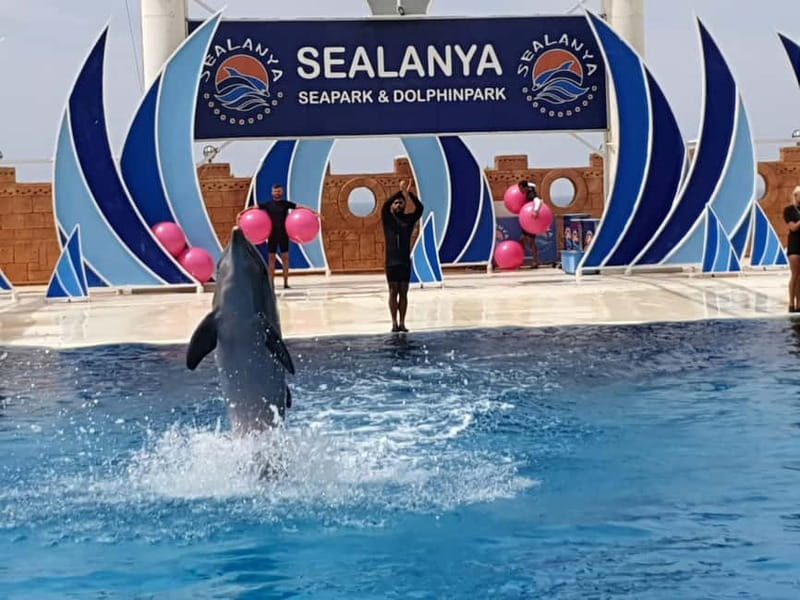 Alanya: Sealanya Dolphinpark Dolphin Show Tour - Bottlenose Dolphins’ Water Dances, Games, and Pool Sports