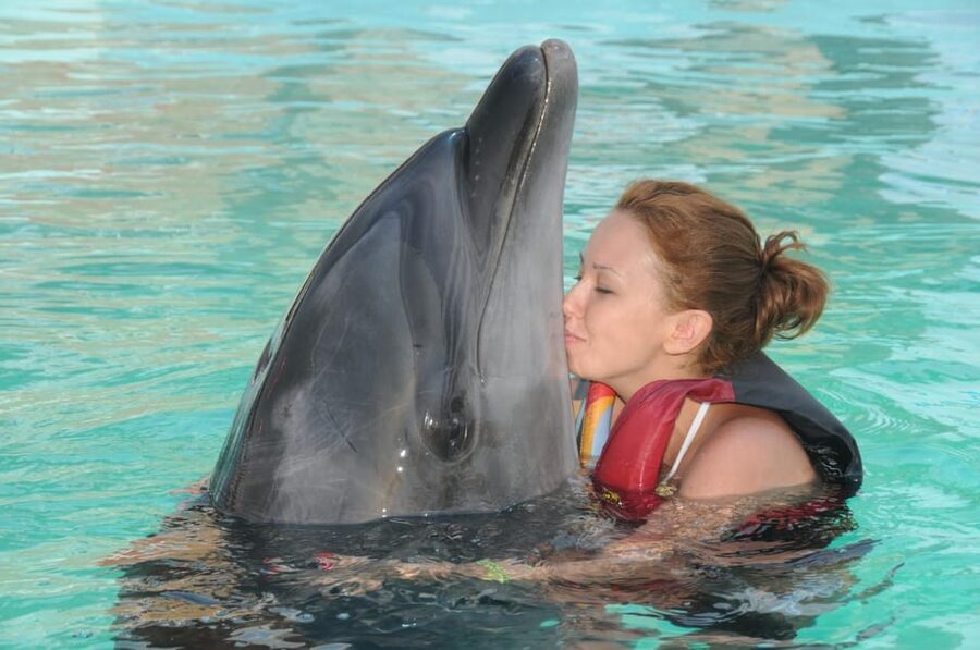 Dolphin Park Entry with Live Show and Pickup - Optional Swimming with Dolphins: Cost, Timing, and Age Rules