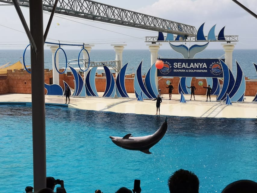 Dolphin Park Entry with Live Show and Pickup - What to Watch For on the Day
