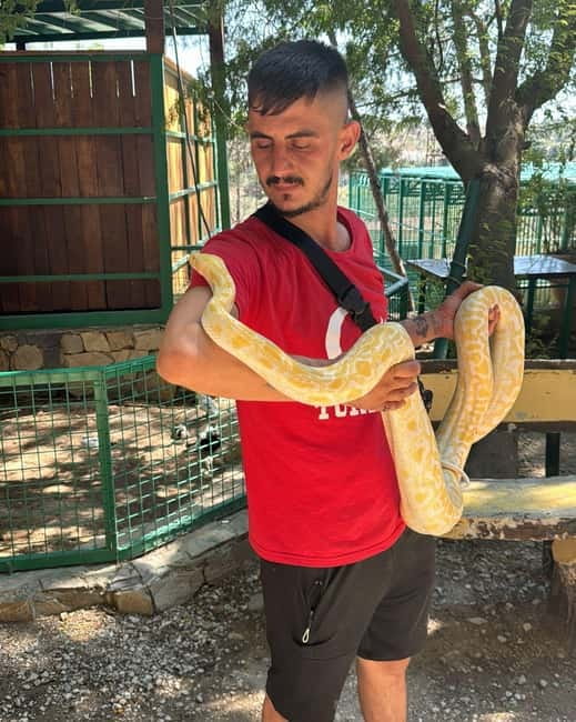 From Alanya: Lion Safari & Green Canyon Splash Feast w/Lunch - Key Things That Make This Tour Worth Your Time