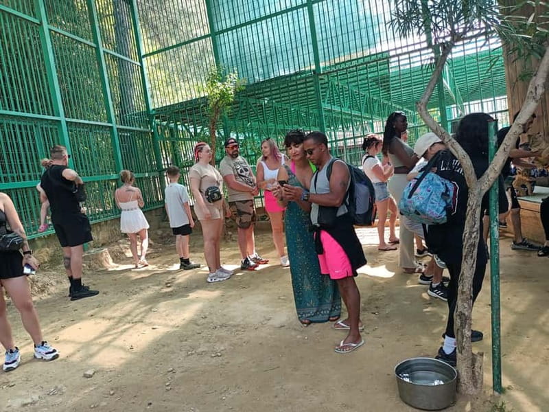 From Alanya: Lion Safari & Green Canyon Splash Feast w/Lunch - Green Canyon Splash Time: Views, Swim Breaks, and Photo Stops