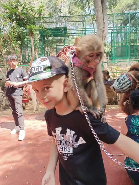 From Alanya: Lion Safari & Green Canyon Splash Feast w/Lunch - Dam Lake Boat Cruise and Lakeside BBQ Lunch