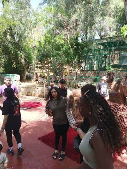 From Alanya: Lion Safari & Green Canyon Splash Feast w/Lunch - What the Reviews Emphasize: Guides, Scenery Time, and the Overall Vibe