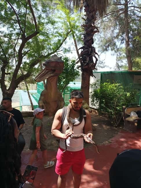 From Alanya: Lion Safari & Green Canyon Splash Feast w/Lunch - Who This Tour Suits (and Who Might Want a Different Kind of Day)
