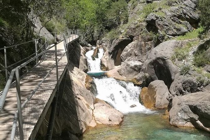 From Alanya & Side: Sapadere Canyon Tour - From Alanya pickup to the gorge: how the schedule really feels