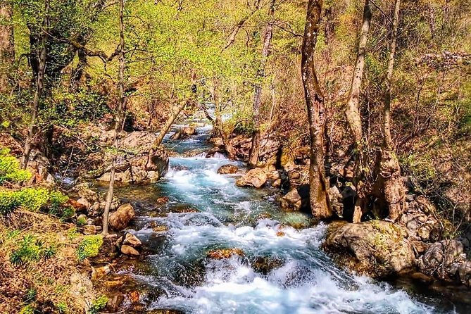 From Alanya & Side: Sapadere Canyon Tour - Who should choose this tour (and who should skip it)