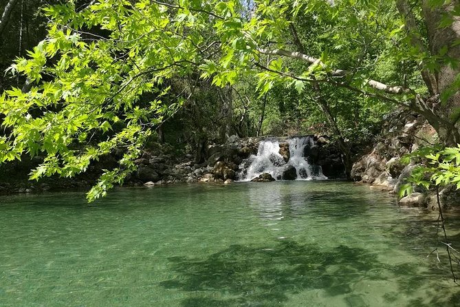 From Alanya & Side: Sapadere Canyon Tour - Sapadere Kanyonu: the water stop that changes the whole day