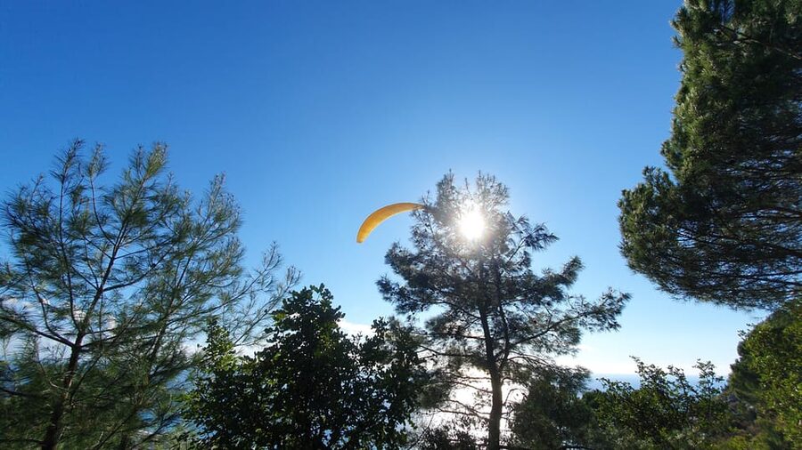 From Antalya/Alanya/Side: Paragliding Adventure - After the Landing: Photos, Videos, and How to Think About the Cost