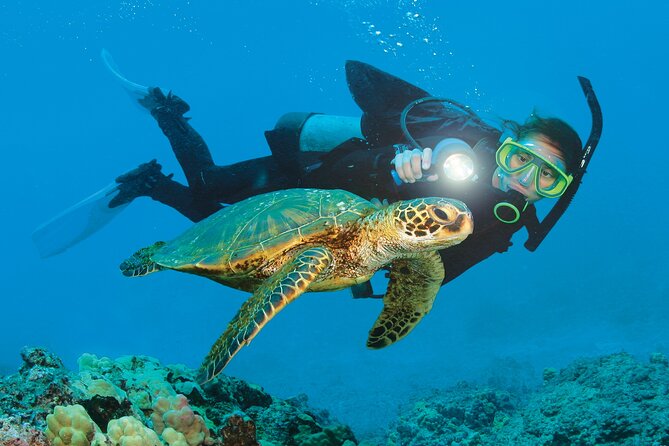 From Side, Alanya: Scuba Diving With 2 Time Dive & Lunch - Key things to know before you go