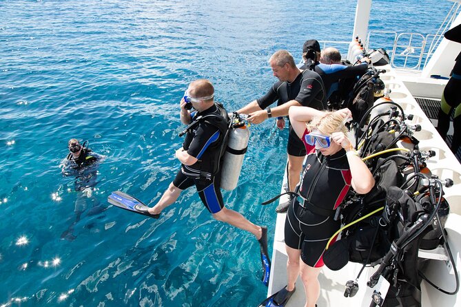 From Side, Alanya: Scuba Diving With 2 Time Dive & Lunch - Side to Okurcalar: the day’s setup (8:00am start, pickup, boat ride)