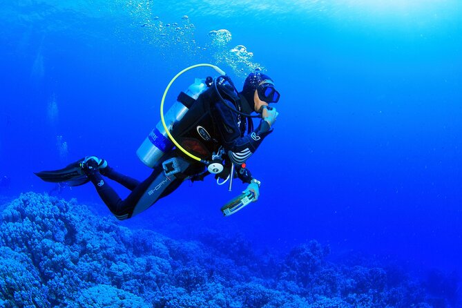 From Side, Alanya: Scuba Diving With 2 Time Dive & Lunch - Lunch on board + a swim and sunbathing break (the part you should savor)