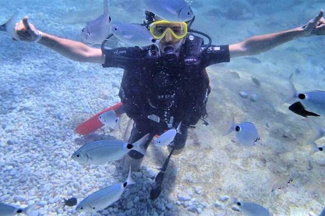 From Side, Alanya: Scuba Diving With 2 Time Dive & Lunch - Second underwater session (7–8m for ~20 minutes): gaining confidence