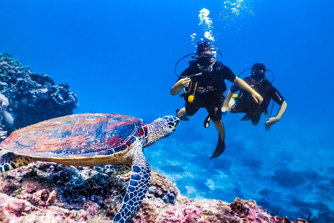 From Side, Alanya: Scuba Diving With 2 Time Dive & Lunch - Price and value: what $45.38 includes (and what it doesn’t)