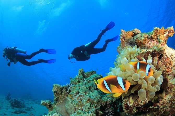 From Side, Alanya: Scuba Diving With 2 Time Dive & Lunch - Group size, crowding, and why it can affect your experience