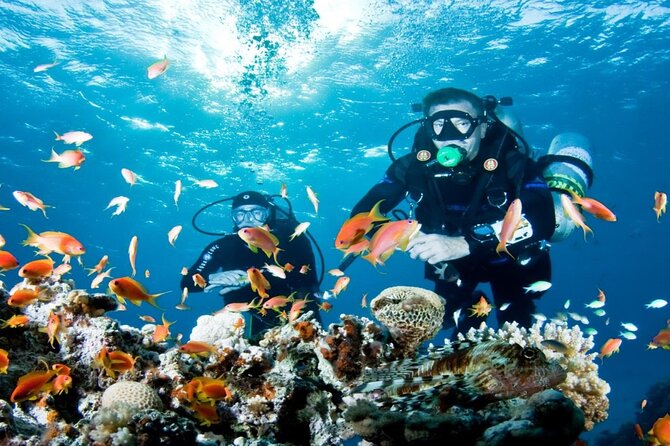 From Side, Alanya: Scuba Diving With 2 Time Dive & Lunch - First underwater session (3–5m for ~20 minutes): what to expect