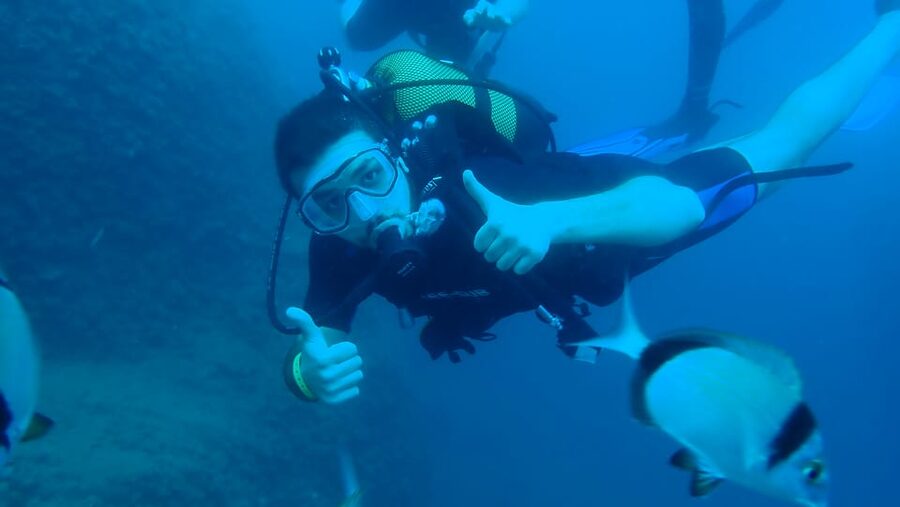 From Side: Guided Scuba Diving in Alanya w/ Lunch & Transfer - Who this tour is best for (and who might want a different plan)