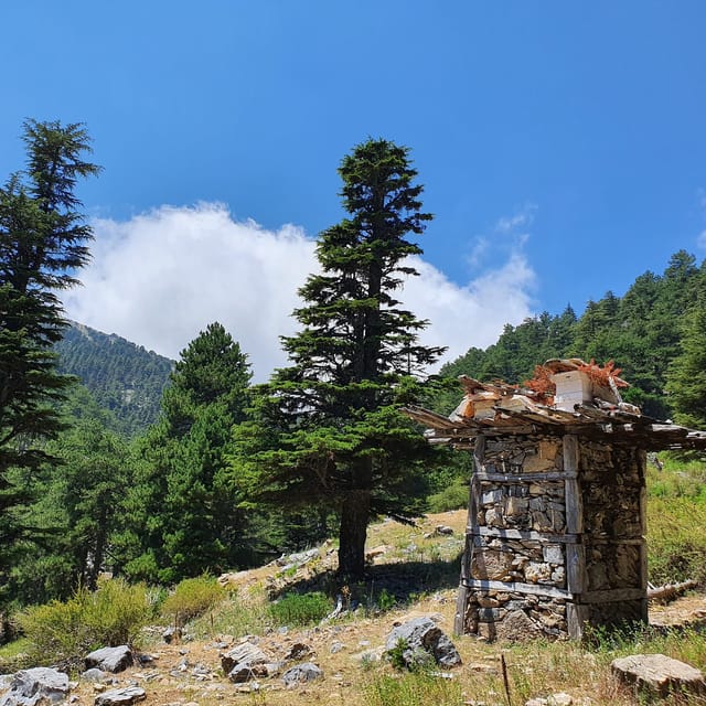 Hiking Tour At The Taurus Mountains of Alanya - Price and value: what $51 buys you (and what it doesn’t)