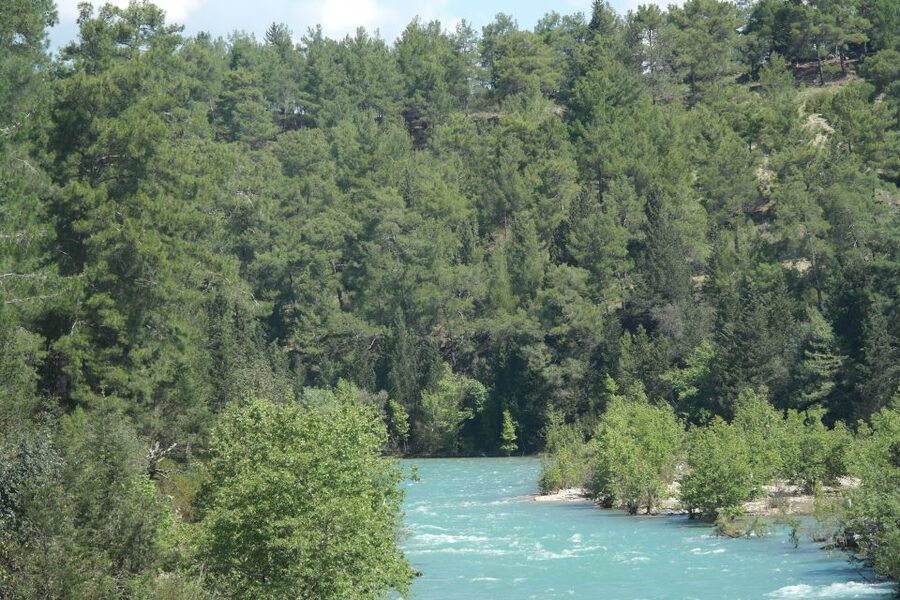 Koprulu Canyon: River Kayaking Experience with Lunch - Optional Zipline Across the River and the Value of Adding One More Thrill