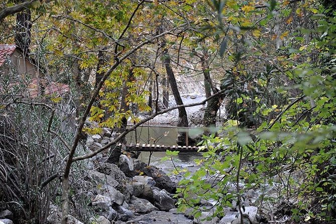 Monster Green Canyon Safari with Lunch - Why Green Canyon Safari Feels Like a Real Escape from Alanya
