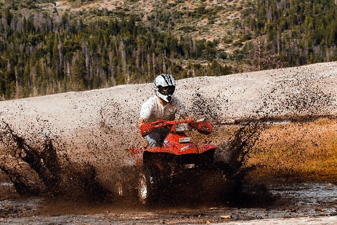 Quad Safari Experience in Alanya (Adventure Tour) w/ Free Hotel Transfer - Weather and Mud: When Alanya Plays Nice (Or Doesn’t)