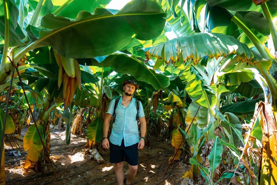Sapadere Tour with Dimçay Lunch, Cave, Tropical Fruit Garden - Dim River National Park: waterfall energy, photo stops, and time to cool off
