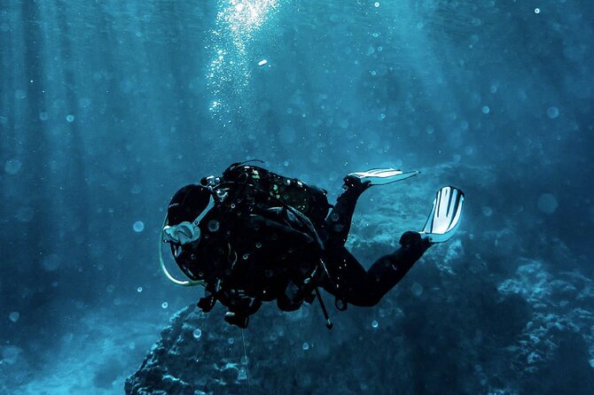 Scuba Diving Experience in Alanya With Lunch and 2 Dives - Key Things That Make This Alanya Scuba Trip Worth a Look