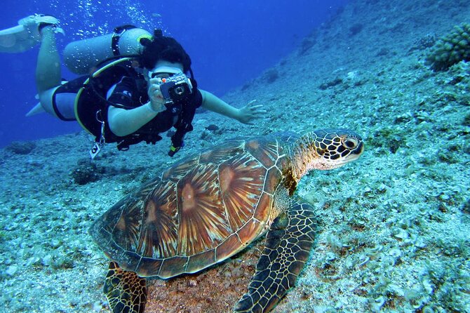 Scuba Diving Experience in Alanya With Lunch and 2 Dives - Lunch on a Boat Day: Fueling Up Without Slowing Down