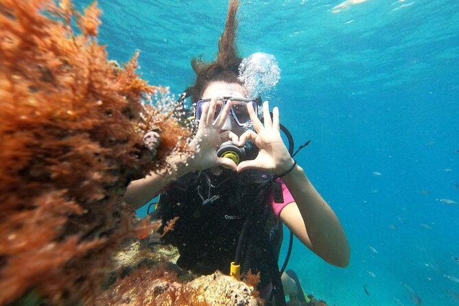 Scuba Diving Tour With Lunch in Alanya - Underwater Session #2: Depth, Clarity, and a Calmer Pace