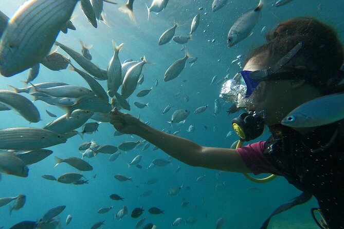Scuba Diving Tour With Lunch in Alanya - What to Bring and How to Get Better Results Underwater