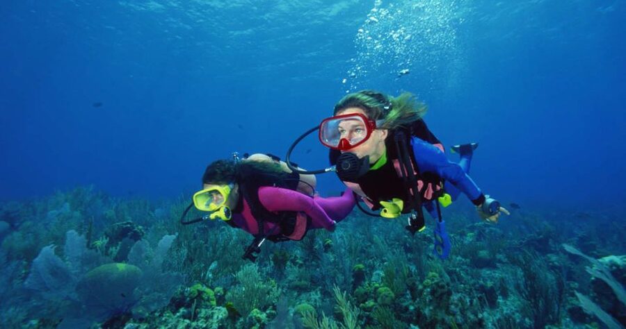 Scuba Diving Tour with Transfer From Alanya and city of Side - The Second Session in the Afternoon: Same Depth Cap, Different Spot