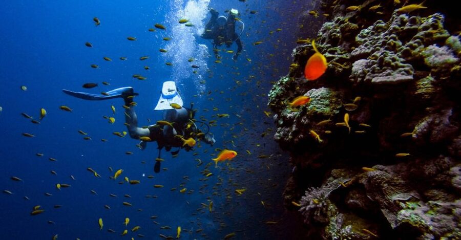 Scuba Diving Tour with Transfer From Alanya and city of Side - Price and Value: Is $59 a Good Deal?