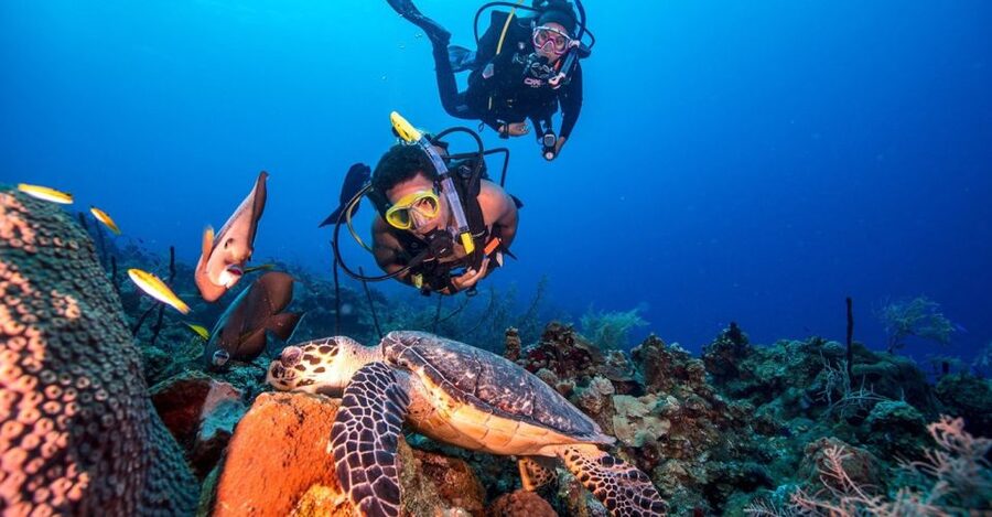 Scuba Diving Tour with Transfer From Alanya and city of Side - The First Underwater Session: Slow Descent, Fish Feeding, Photos