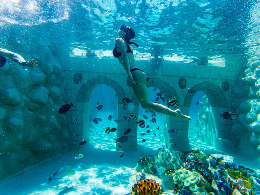 Seapark: Swimming in Pool Aquarium with Authentic Creatures - Key things to know before you go