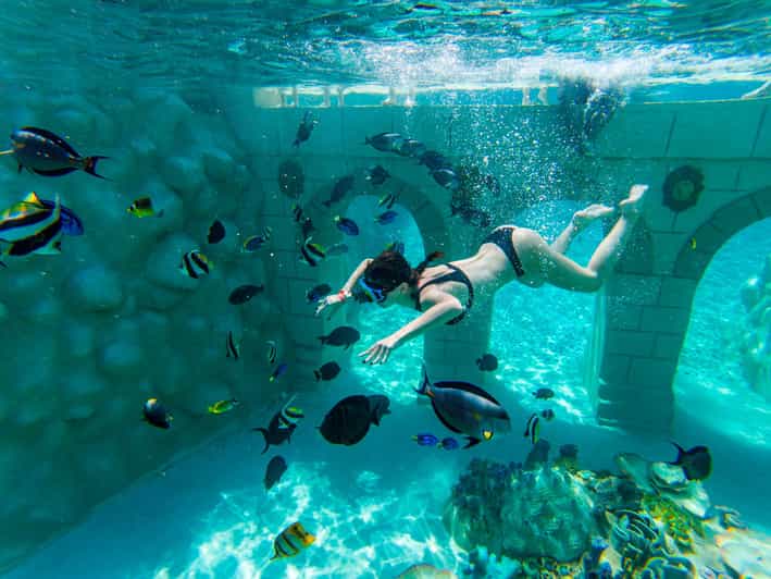 Seapark: Swimming in Pool Aquarium with Authentic Creatures - Sealanya Seapark’s aquarium pools: what you’re really buying
