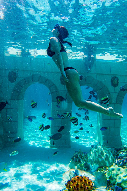 Seapark: Swimming in Pool Aquarium with Authentic Creatures - Freshwater lazy river and the kid-friendly pools