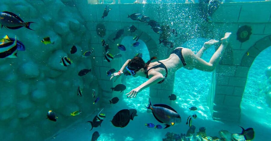 Seapark: Swimming in Pool Aquarium with Authentic Creatures - Price and value: is $142 per person worth it